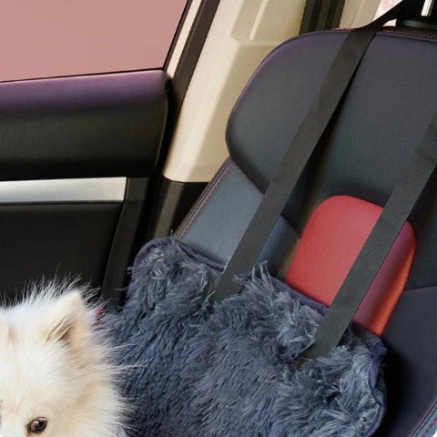 Dog Car Seat – Comfortable and Practical