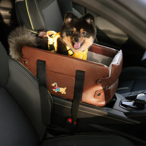 Auto Mand Voor Kleine Hond — Veiligheid En Comfort In De Auto