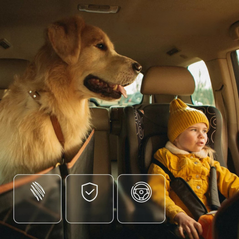 Copertura per sedile auto per cani — Comfort e sicurezza quotidiana