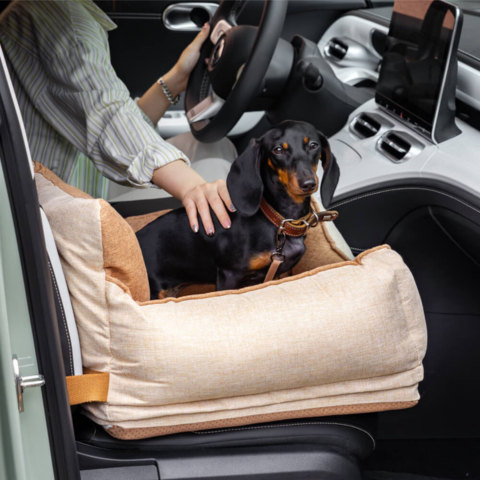 Hond Autostoel – Comfort En Veiligheid In De Auto