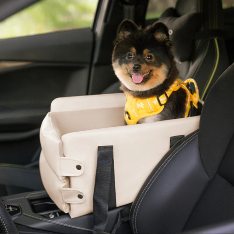 Auto Mand Voor Kleine Hond — Veiligheid En Comfort In De Auto