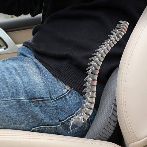 Auto polštář pro záda a sezení – zvýšené pohodlí 