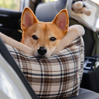 Banco de Viaje para Perros – Cómodo y Fácil de Instalar 