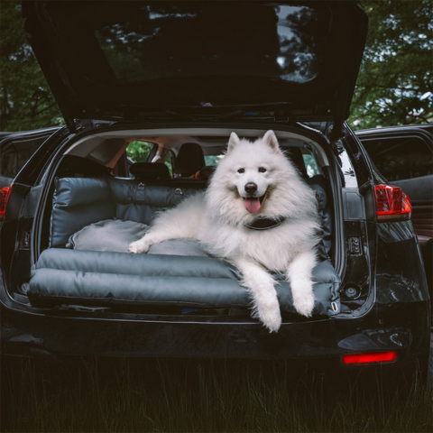 Cojín de Auto para Perro – Sujeción y Confort en la Ruta 