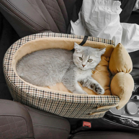 Resväska För Katt – Bekväm Och Säker 