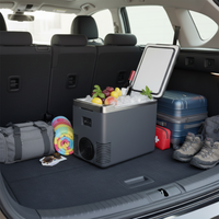 Mini Réfrigérateur & Chauffe-Repas De Voiture — 2 En 1 Pratique