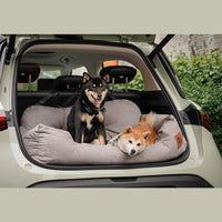 Bilsete for hund — Reis sammen i trygghet 